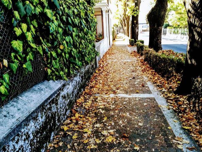 Ca'rodi meuble 3 leoni