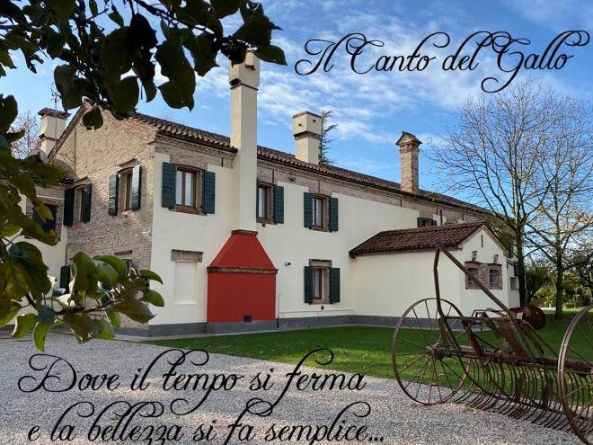 Il canto del gallo