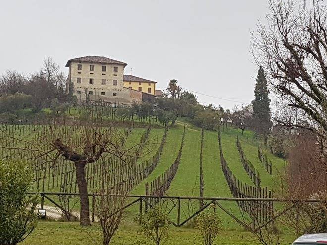 Il giuggiolo