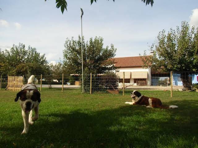 Il podere camere e ristorazione agrituristica