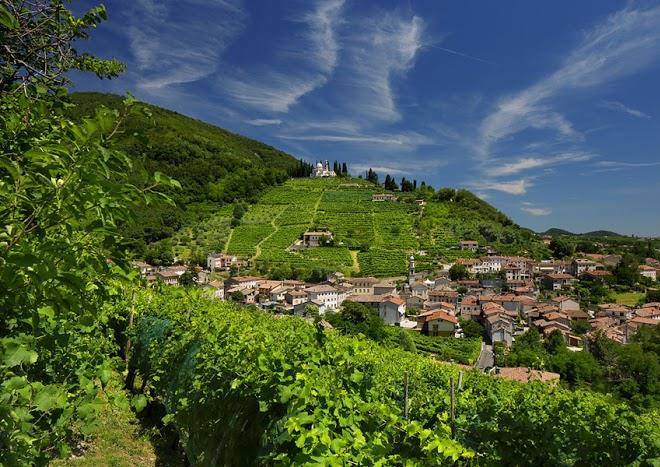 Le zitelle di ron prosecco a valdobbiadene