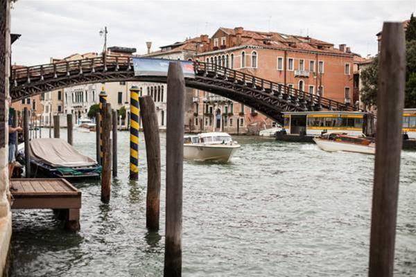 Foresteria Levi Image