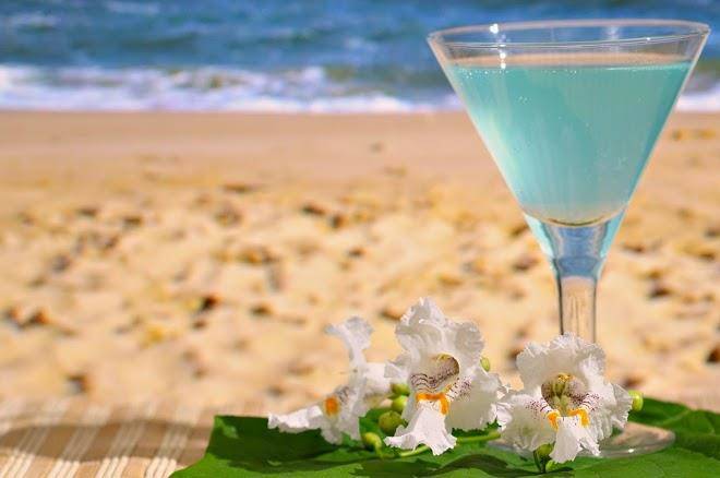 Hotel Vienna Jesolo Image