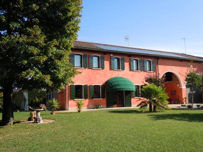 Il farfasole