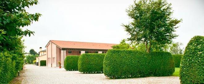 Agriturismo il girasole