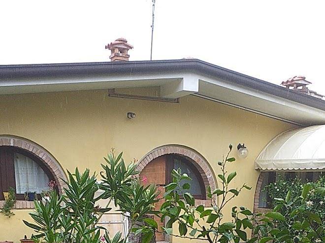 Taglio del re