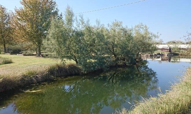 Tenuta lio maggiore