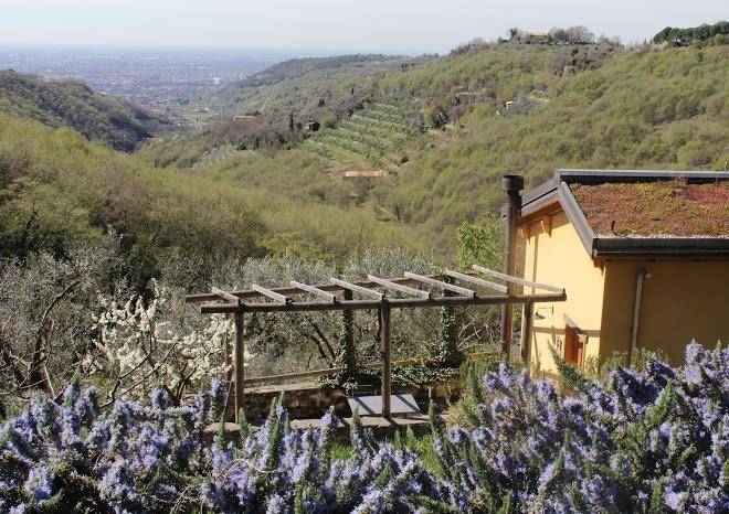Agriturismo ca' del rocolo