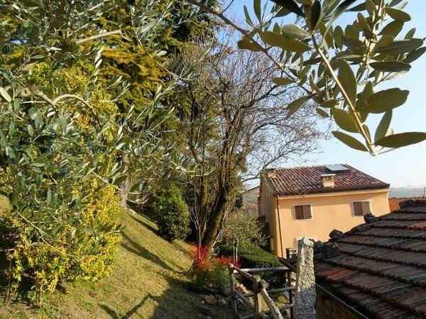 Al mandorlo di sara