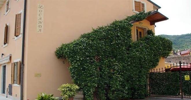 Alloggio la pesa