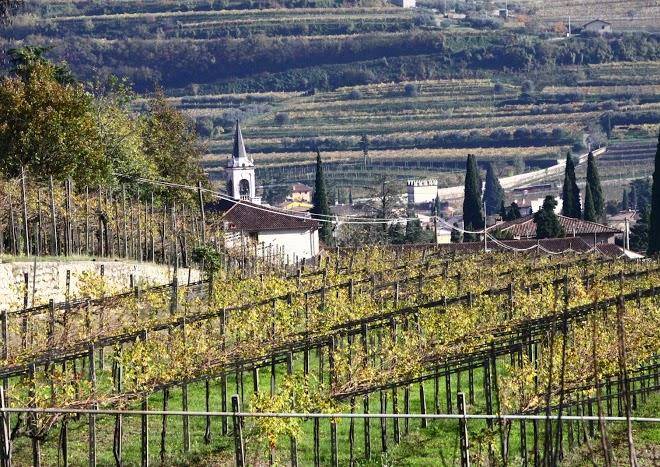 Azienda agricola antica valpolicella