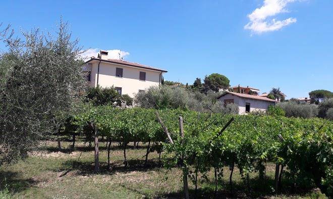 B&b bianconiglio