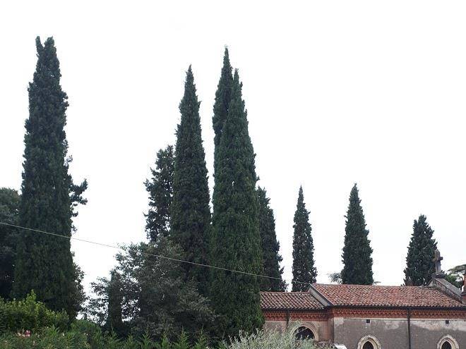 B&b castel montorio