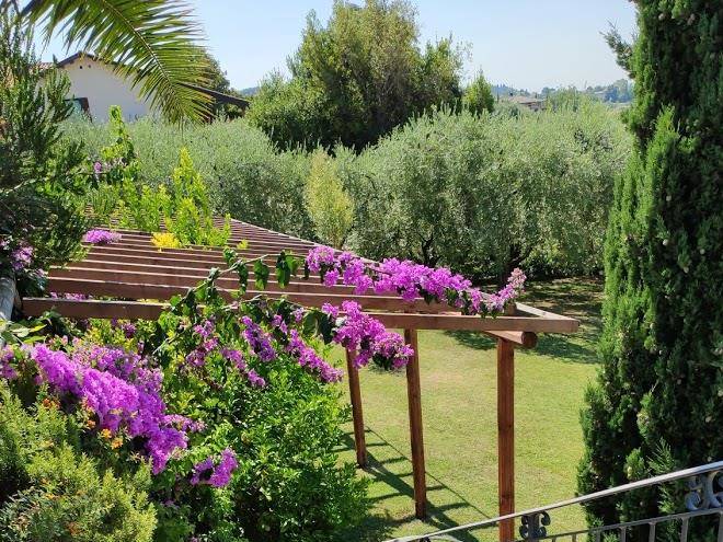 Bed and breakfast soleluna