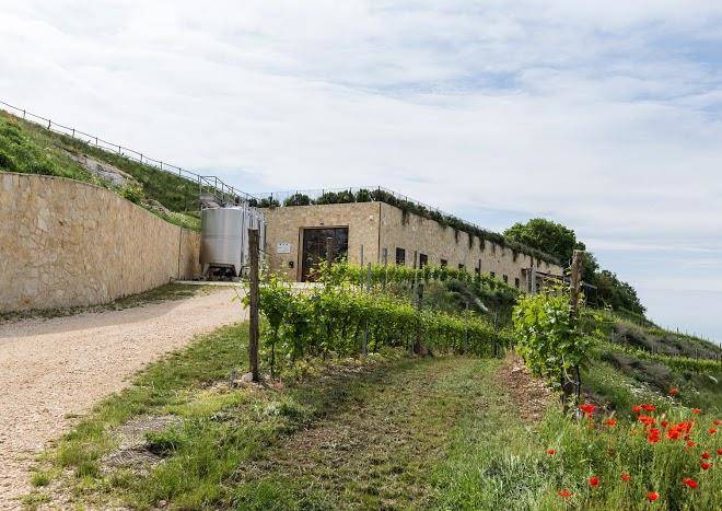 Ca' del moro wine retreat