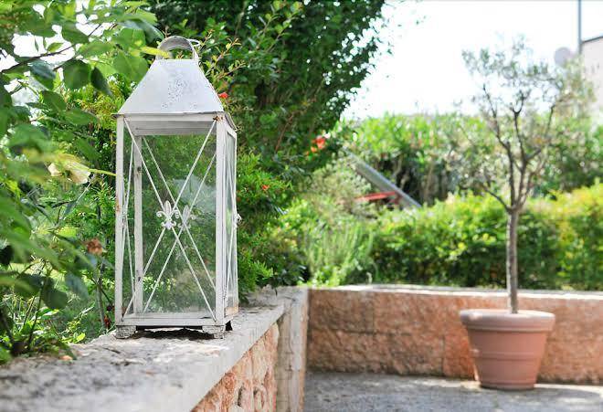 Camere girasole
