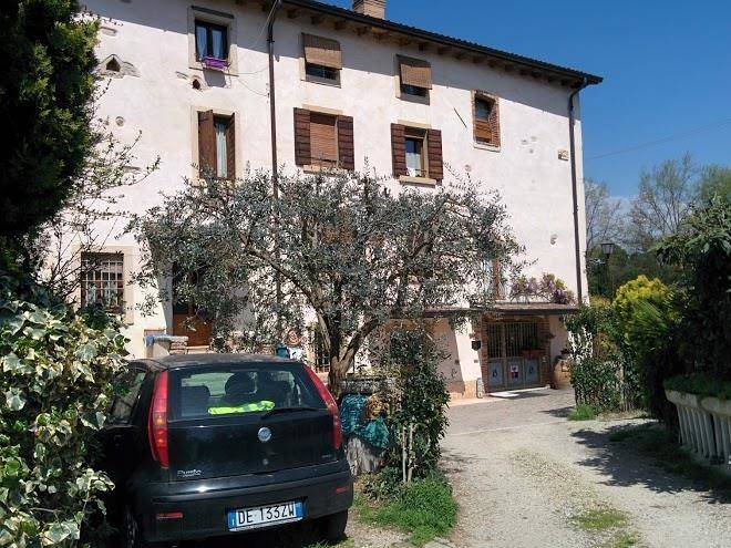 Corte garberia
