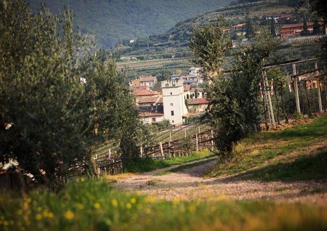 Azienda agricola corteforte