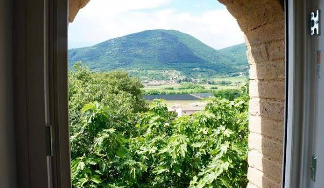 Giardino degli ulivi