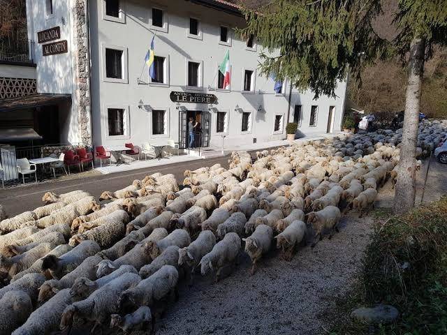 Locanda al confin osteria le piere