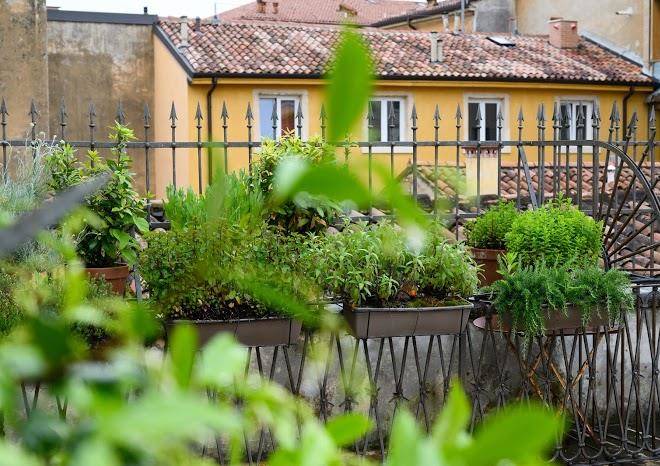 Massimago wine suites