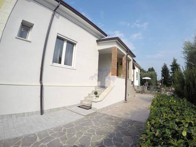 New camere pederzoli