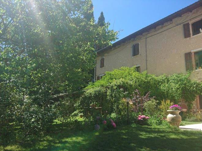 Rama relais
