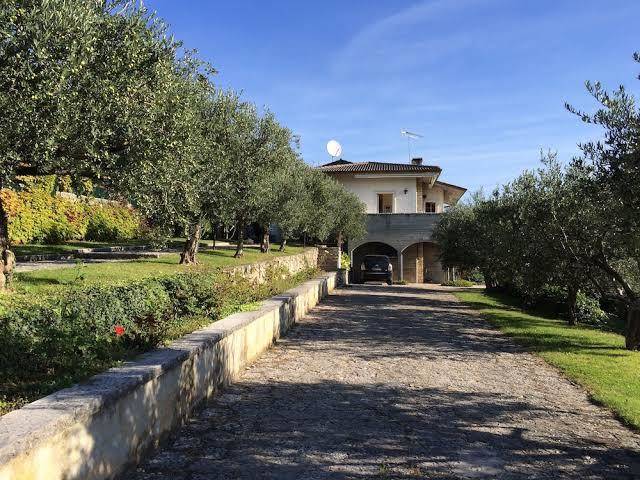 Valpolicella hills panorama & relax