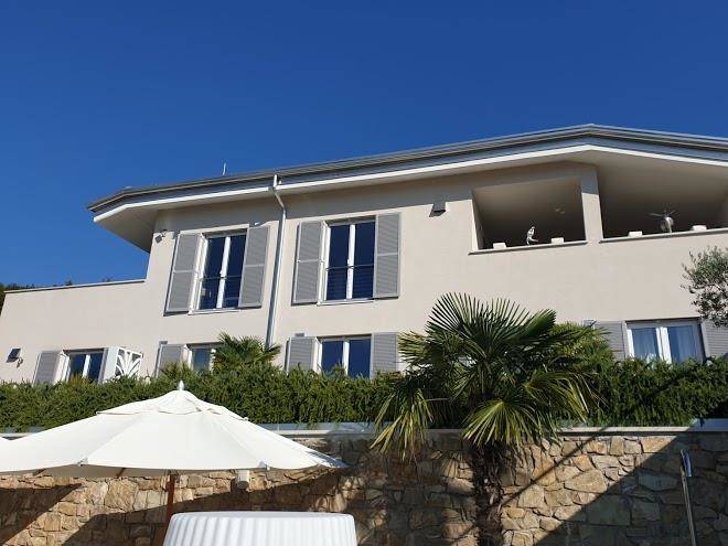 Zeno suites