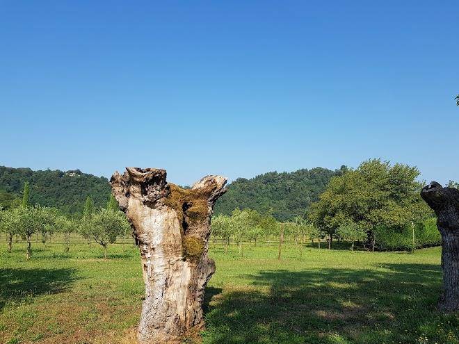 Agriturismo san michele