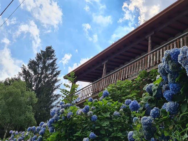 Albergo alpestre
