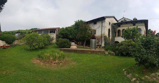 Fattoria le vegre s s societa agricola