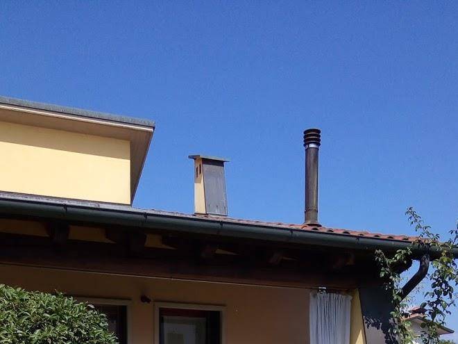 Il biancospino
