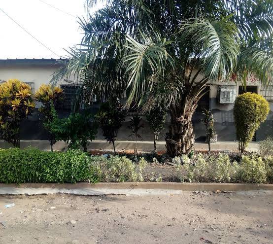 Hotel moya