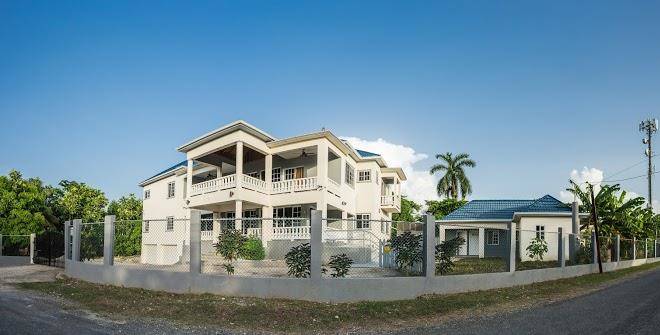 Blue Paloma Jamaica Image