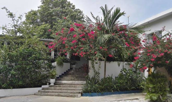 San San Tropez Image