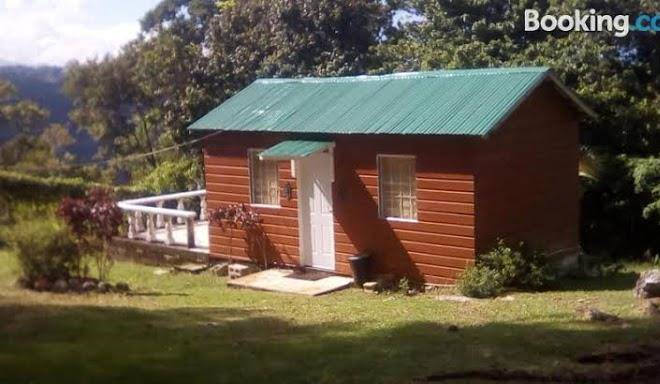 Shotover Gardens Estate Image