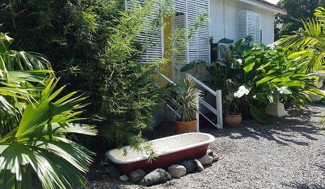 Mikuzi Kingston Image