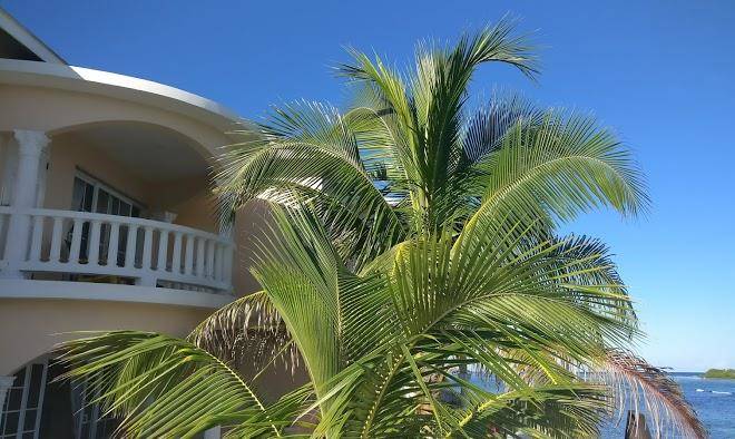 Triplets On The Bay Image