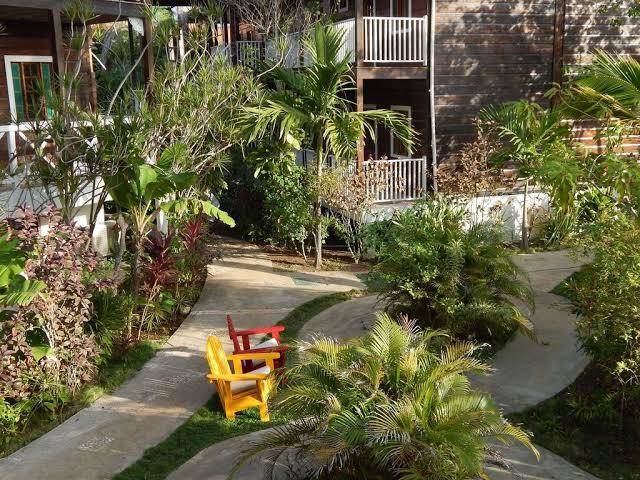 Mangos Jamaica Image