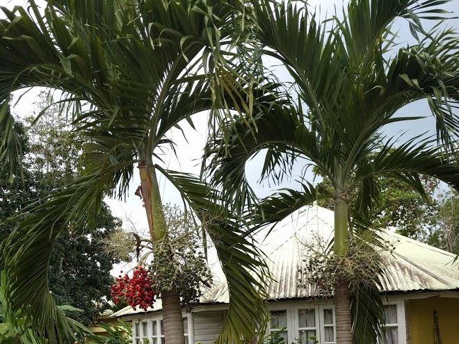 Merrils Beach Resort 3 Image