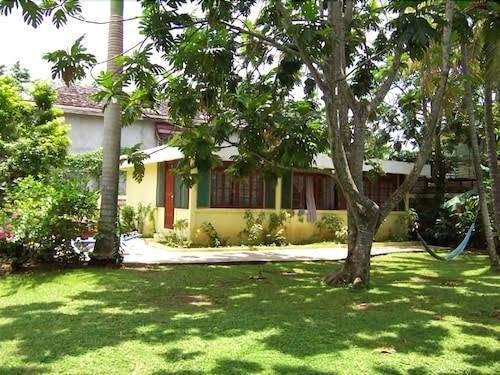 Yellow Bird Sea Image