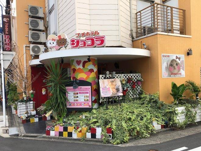 Amusement hotel fantasista