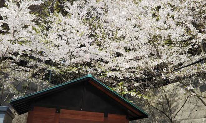 Business inn donichi