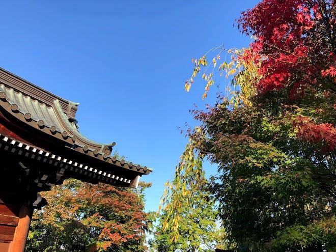 Tabi no yado saikawa