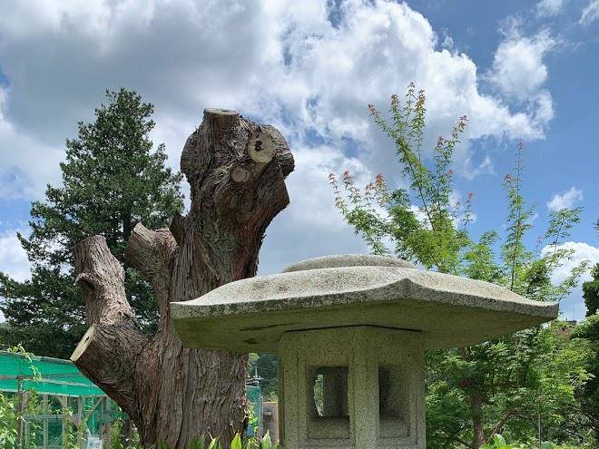 Hotel Green Hills Image