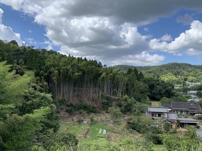 Holy bee's garden