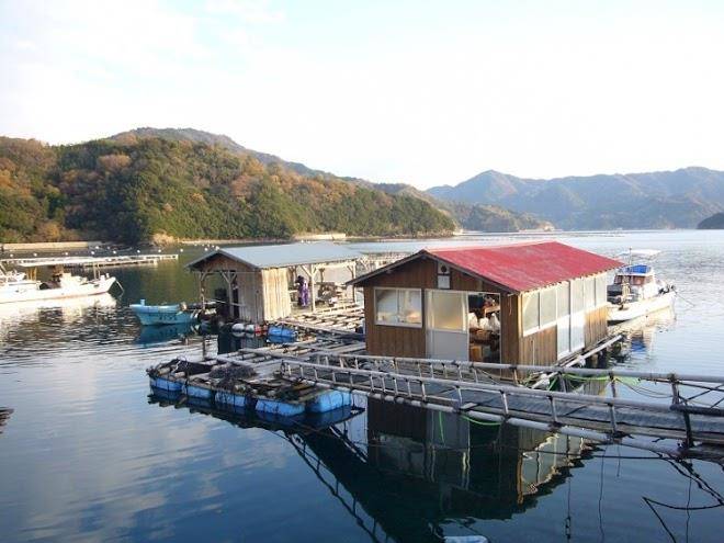 Hotel ailin