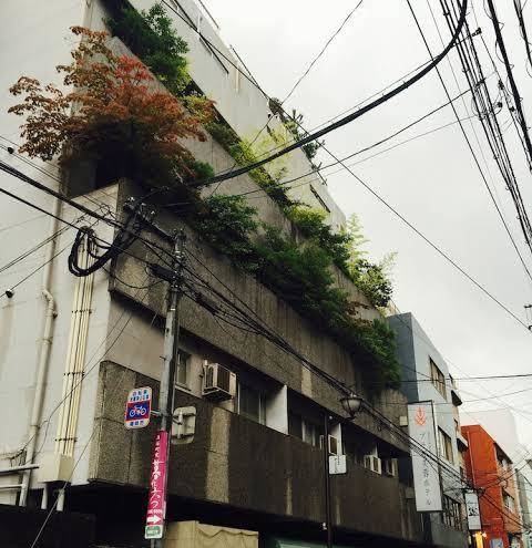 Plaza fuyo hotel
