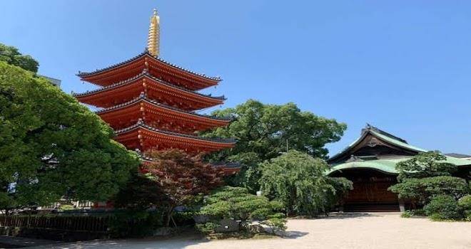 Trip pod tsumashoji